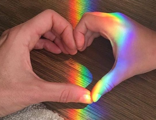Vivere a colori: il programma della rassegna 2026