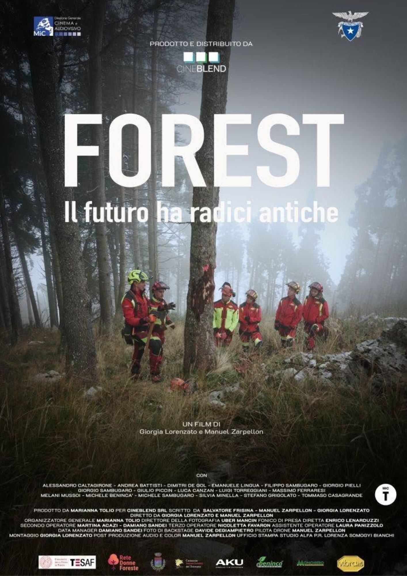 Programmazione 11 forest.rovigo.svetta 1